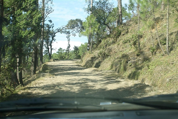 drive delhi ranikhet